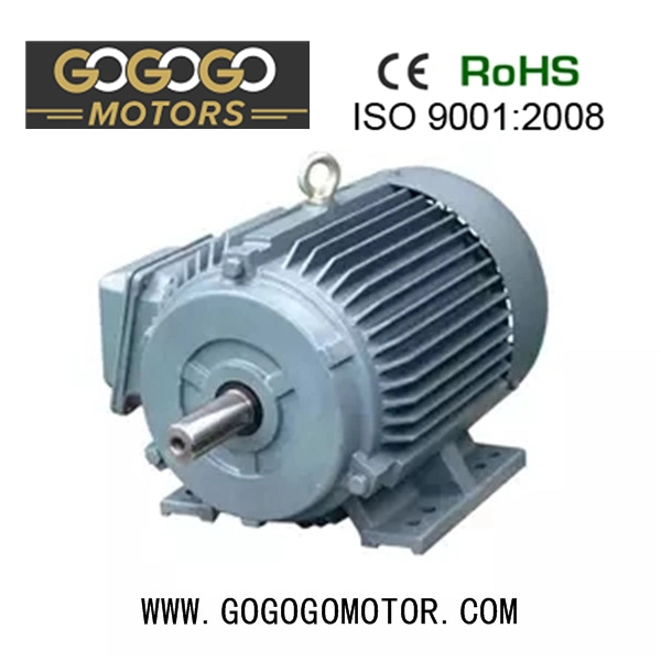 Bobina de cobre de hierro fundido Premium de alta eficiencia de la cena eficiente asíncrono trifásico de inducción AC Motor eléctrico motor de China fabrica