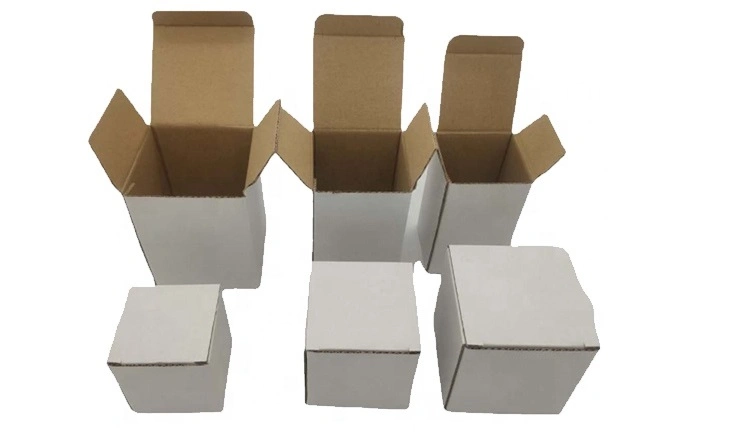 Paper Box Waterproof for Fruit Packing