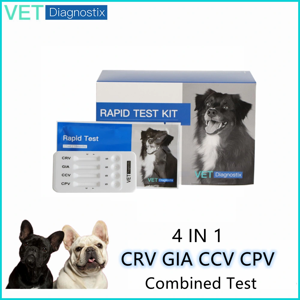Canine Parvovirus Coronvirus Giardia Rotavirus Antigen Combo Test Kit