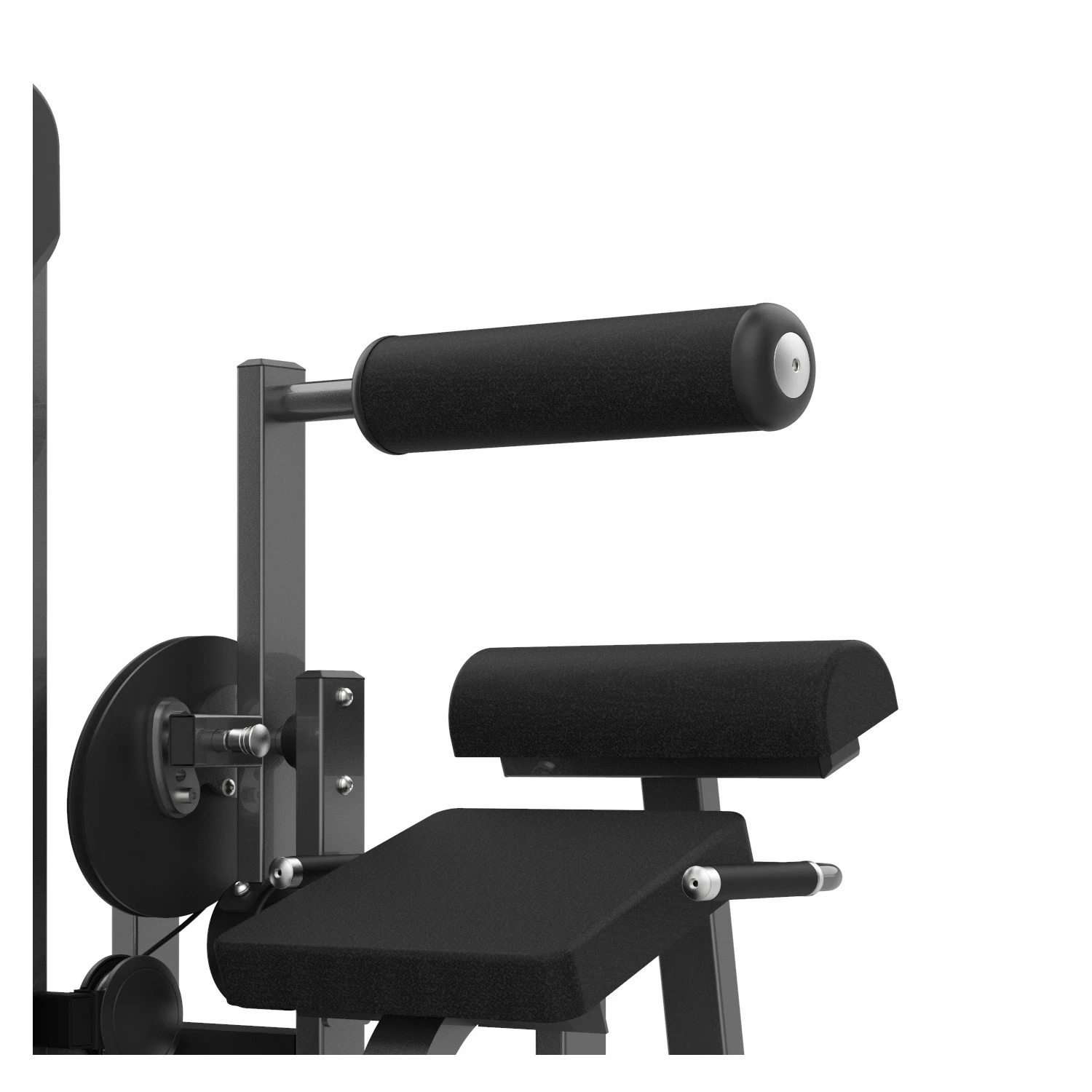 Realleader Best Gym Exercise Equipment Fitness Bodybuilding of Back Extension (M3-1016)