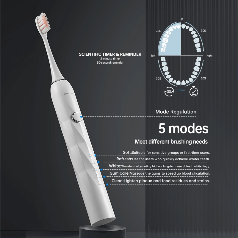 Personalized High quality/High cost performance  Five Gears Teeth Whitening Sonic Electric Toothbrush with LED Light