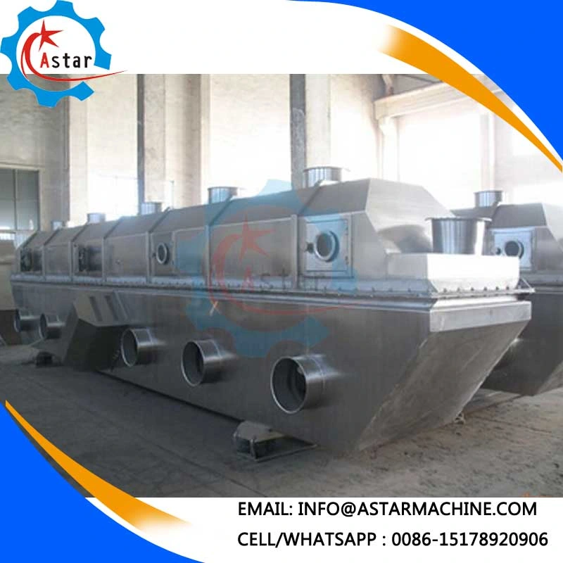 Vegetable Vibrating Fluid Bed Drying Machine for Sale