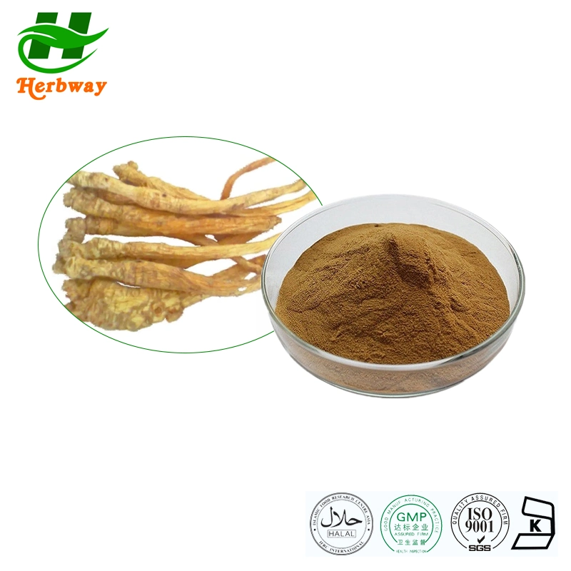 Herbway Adenophora Tetraphylla Extract Ladybell Root Extract Powder Adenophora P. E Adenophora Extract