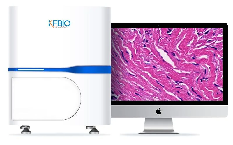 Digital Pathology Slide Scanner KF-PRO-400