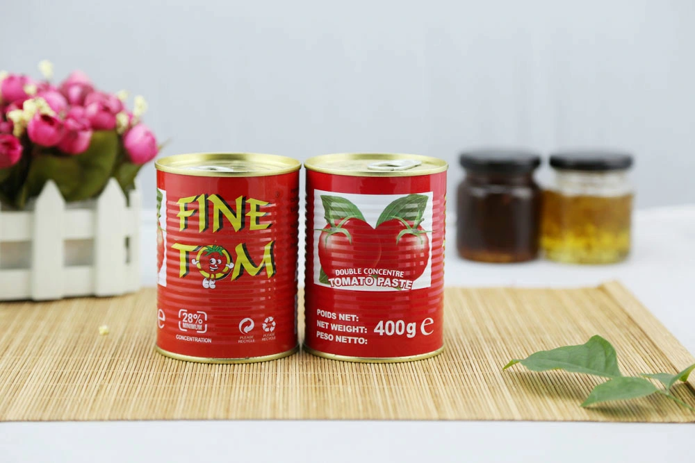 Canned Tomato Paste with Best Price