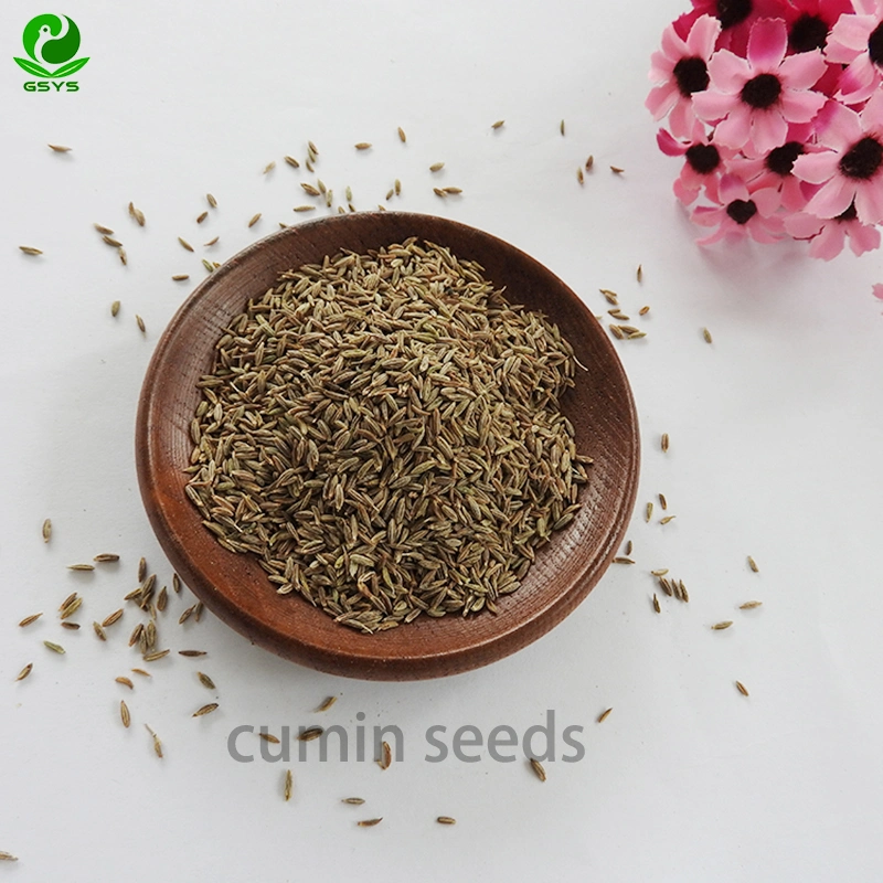 High quality/High cost performance  Nature Cumin Seeds Wholesale/Supplier