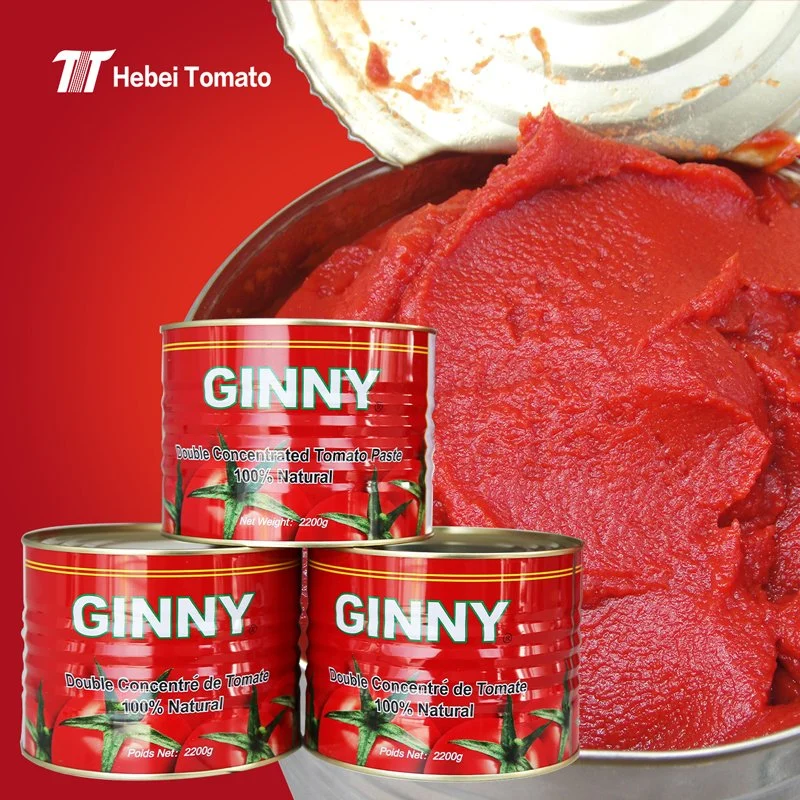 Canned Tomato Paste Concentrated for 400g 800g