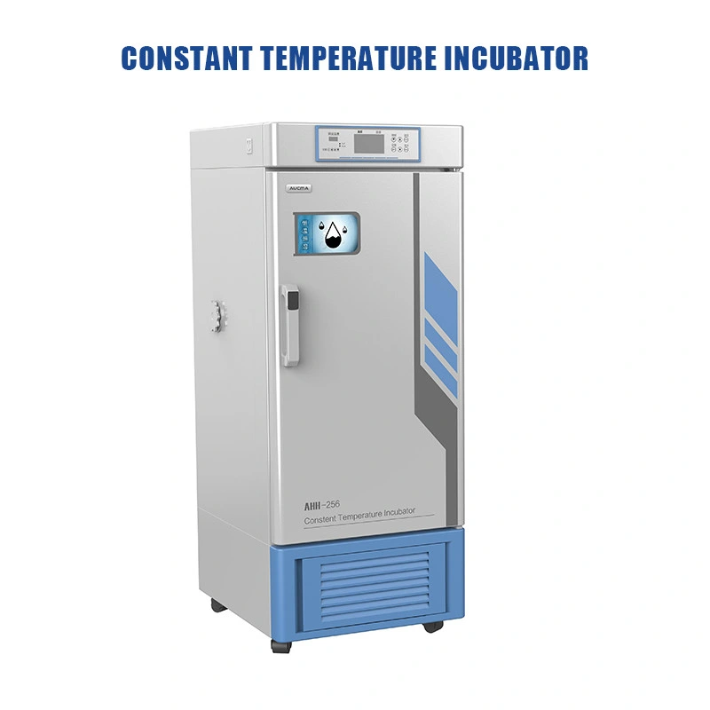 Chinese Factory Price Laboratory Air Mould Lab Incubator 100L Electric Incubators Temperature Incubator