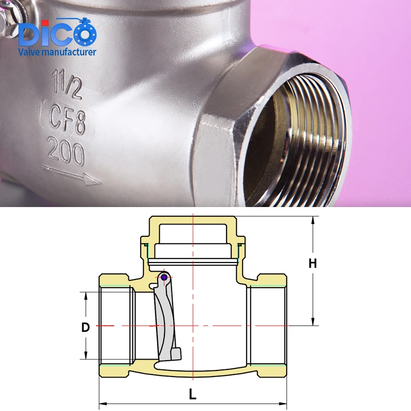 Dico Investment Casting Building Material 200wog Stainless Steel Bsp/BSPT Swing Check Valve