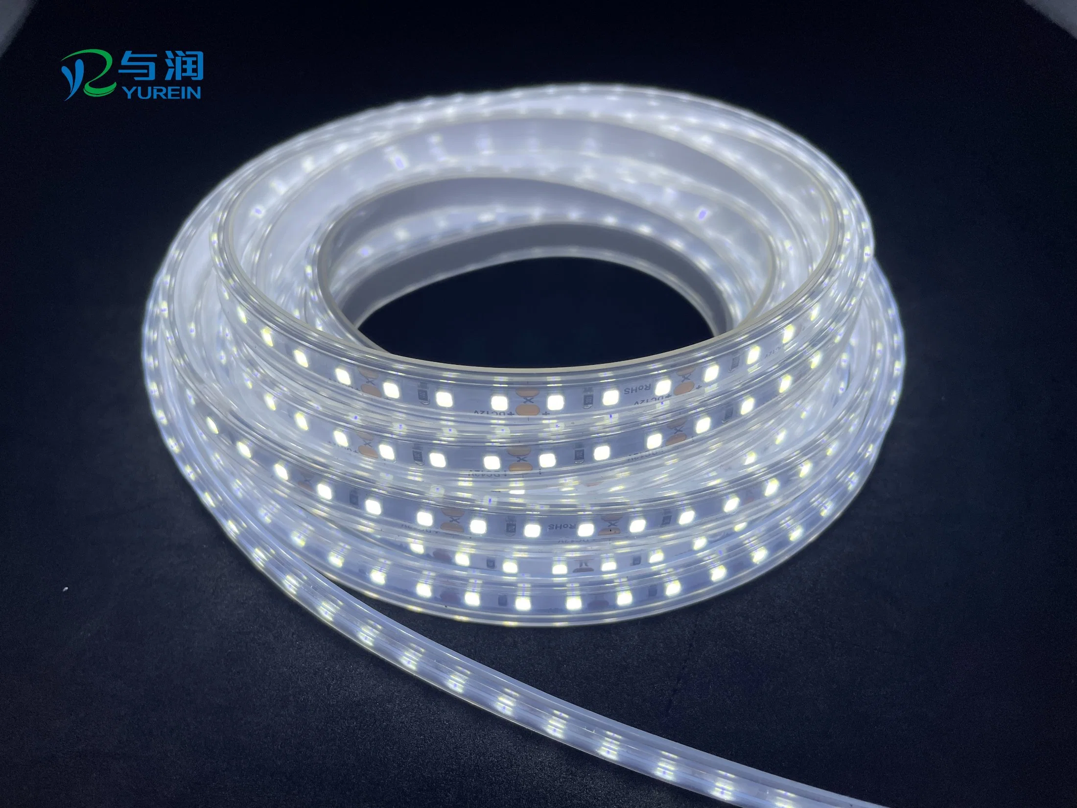 ERP Standard Flexible LED Strip Lighting with High CRI IP65 LED Strips