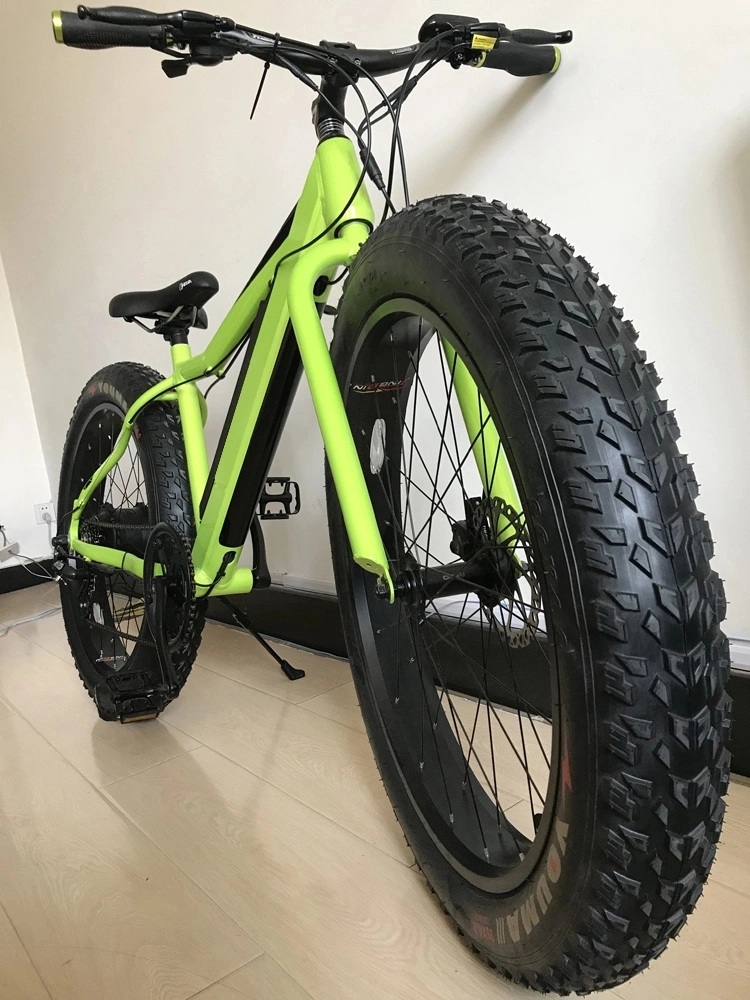 48V750W Electric Mountain Bike with Fat Tire Lithium Battery