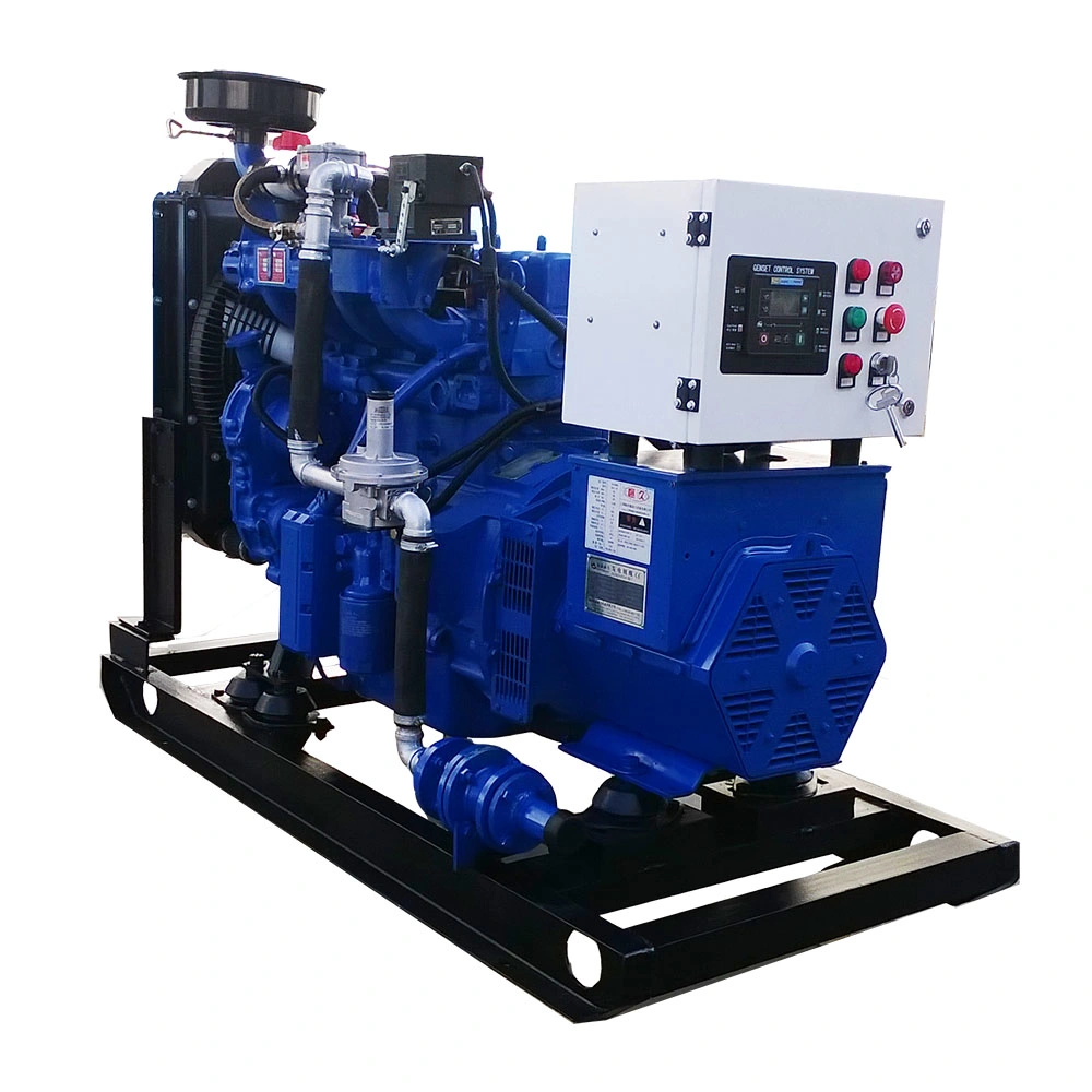 Two Years or 2000 Hours Warranty 30kw LPG Generator