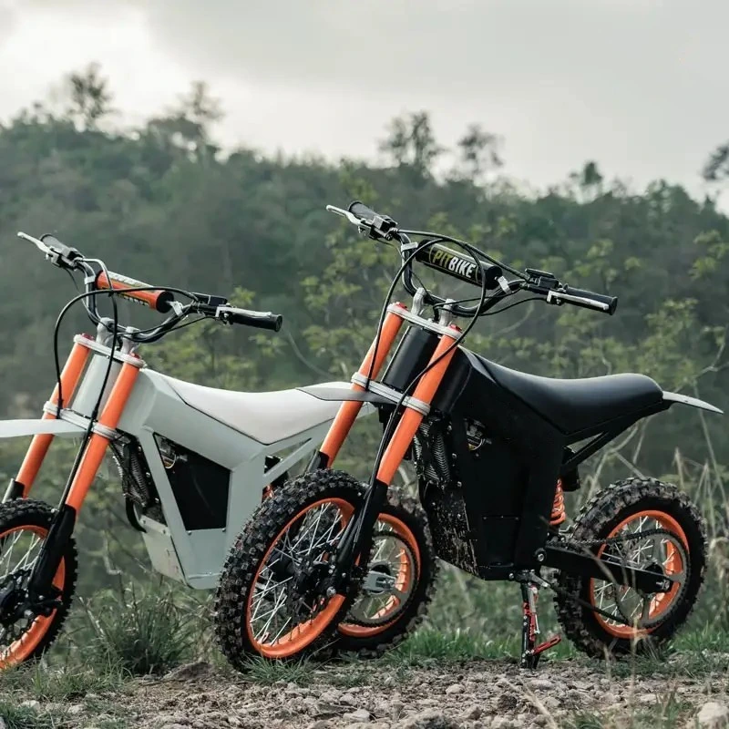 Nuevo diseño 14 pulgadas bicicleta de montaña eléctrica para adultos