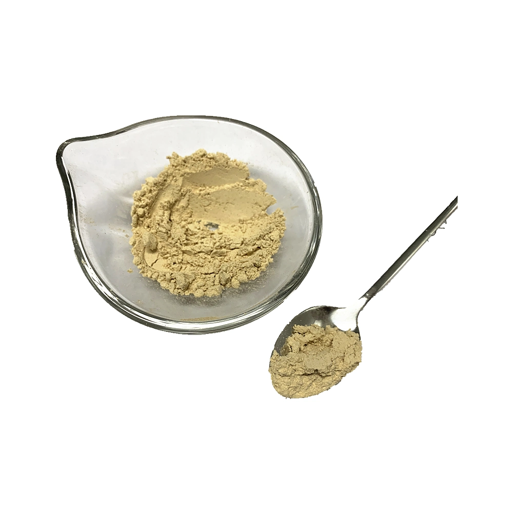 Top Quality Light Selected Healthy Dried Shitake Mushroom Powder