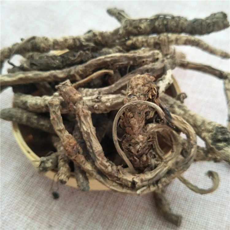 Hu Huang Lian Chinese Herbal Medicine Dry Picrorhizae Root Slice