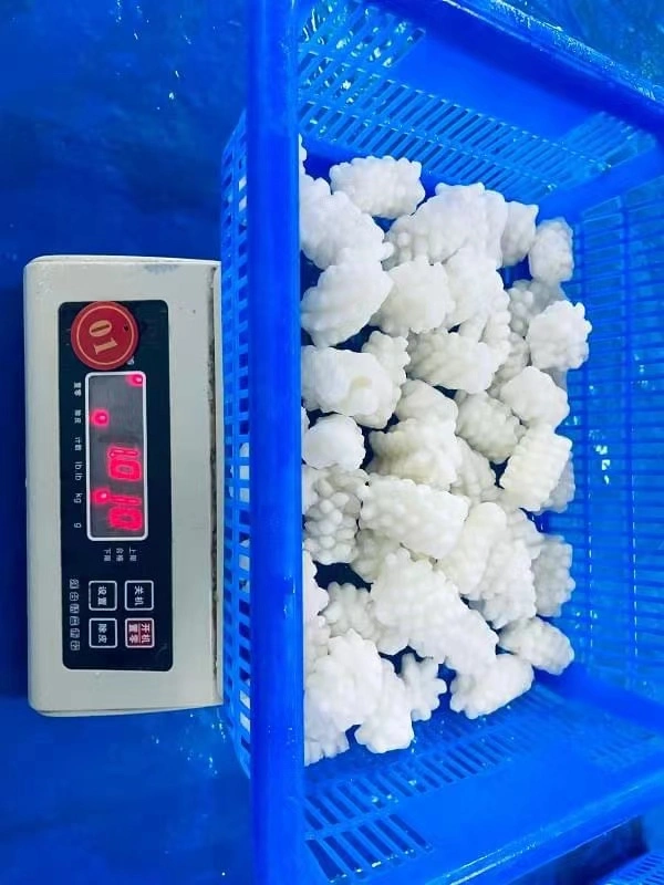 Frozen Seafood Cleaned Gigas Squid/Calamari Flower Cut on Sale