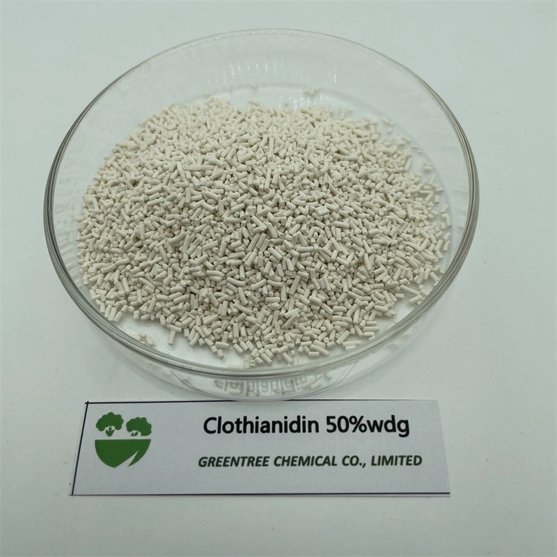 CAS 210880-92-5 High Efficiency Clothianidin for Sale 50% Wdg