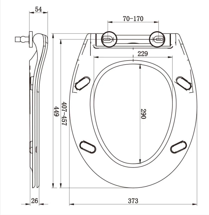 Customized Toilet Seat for European Countries Au222