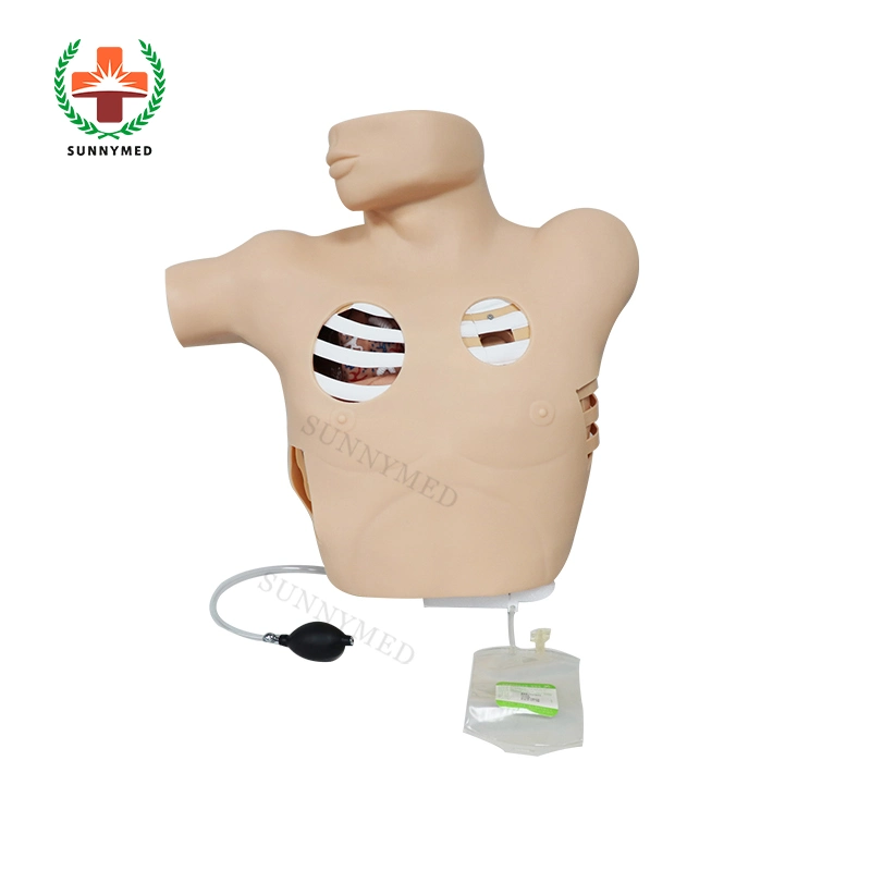 Sy-N07904 Clinical Thoracentesis Drainage Model Manikin for Training