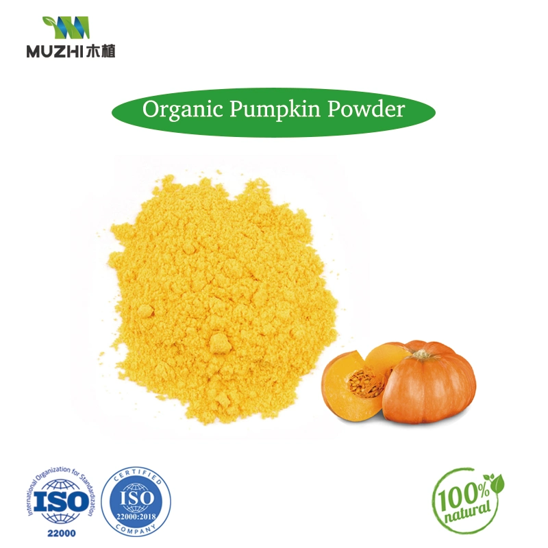 Pumpkin Powder Natural Herbal Plant Extract