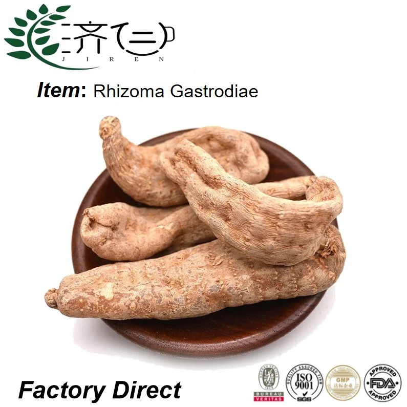 Factory Supply Rhizoma Gastrodiae Traditional Chinese Crude Herbal Gastrodia Elata Tian Ma