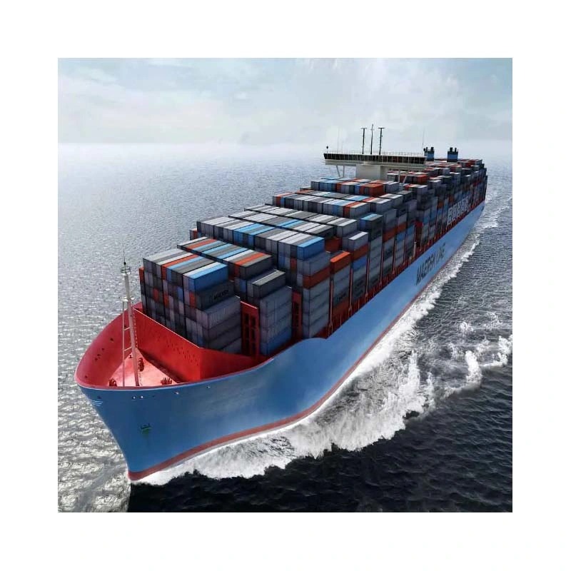 Sea Freight Fowarder, Shipping Agent From China to UAE