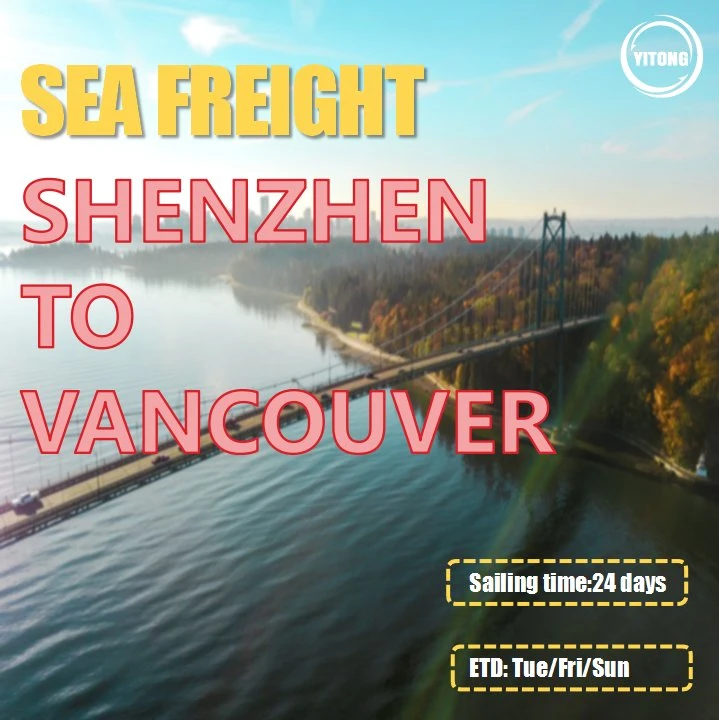 Ocean Freight Shipping From Shanghai to Ottawa Calgary Vancouver