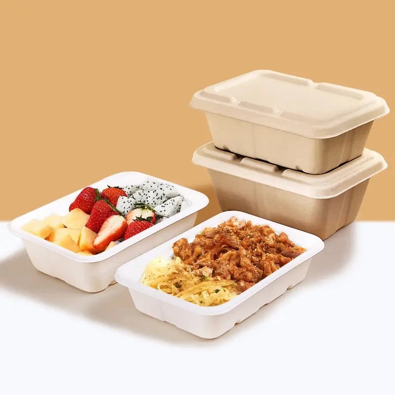 Best Selling Bagasse Cake 24oz Tray