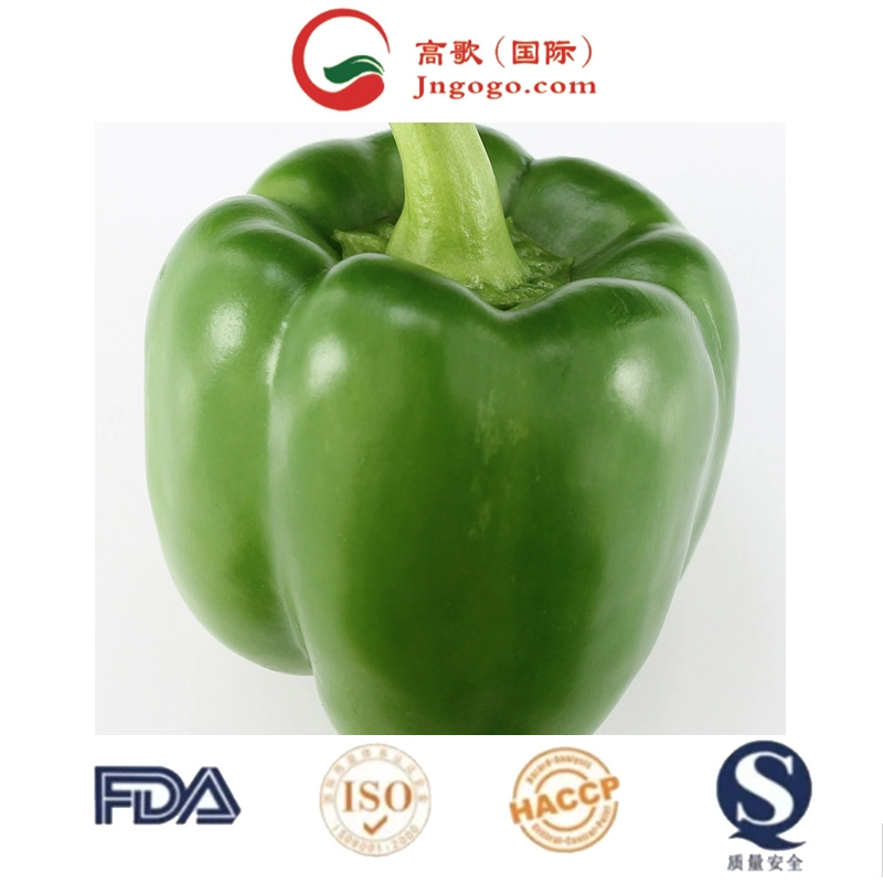 Superior High quality/High cost performance  Pepper Red Chili Seed Chili