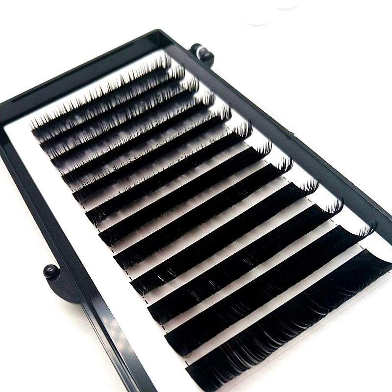 OEM Chinese Vendor Synthetic Lash Extensions