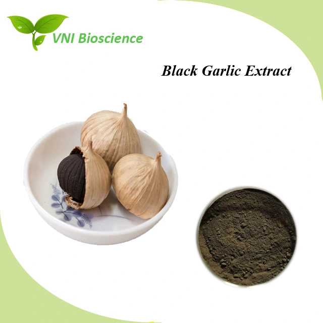 Kosher Certified Pure Natural Allicin Powder Black Garlic Extract