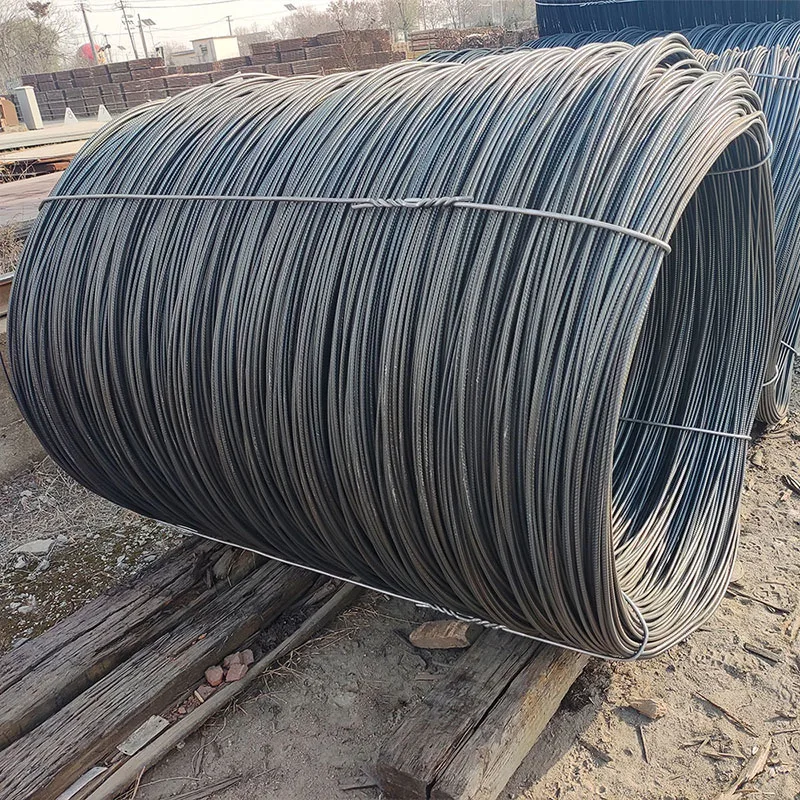 HD Hard Drawn Wire - Steel Wire Rod - SAE 10b21 Low Carbon Steel Wire for Screw Bolt Nut