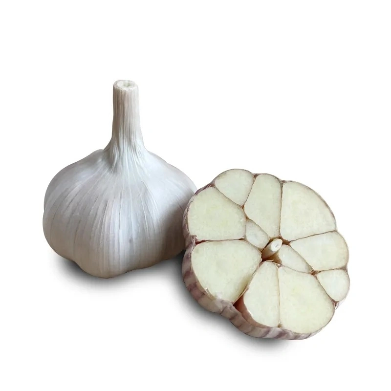 Wholesale Garlic Normal White Fresh Garlic with Competitive Price Importers From Chinese Direct Factory