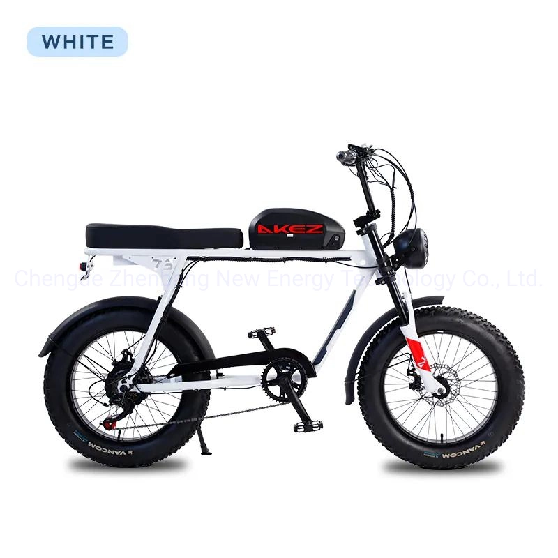 2023 China Nova 48V13ah 20-polegadas pneus de neve baratos eBikes bicicleta Moto moto moto de terra elétrica para adultos