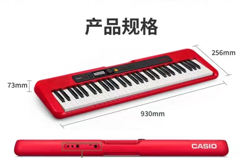 Casio Electronic Organ CT-S200 for Beginners Adult Children Preschool Teachers Dedicated 61 Keys Multi-Function Portable