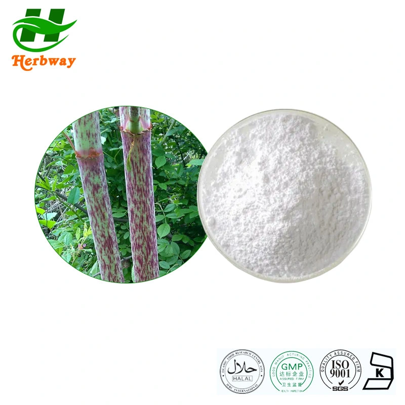 Herbway Extracto de hierba de los atadores gigantes CAS 501-36-0 Extracto de hierba de los atadores gigantes Polygonum Extracto de cuspidatum Emodine Natural Polydatina Resveratrol