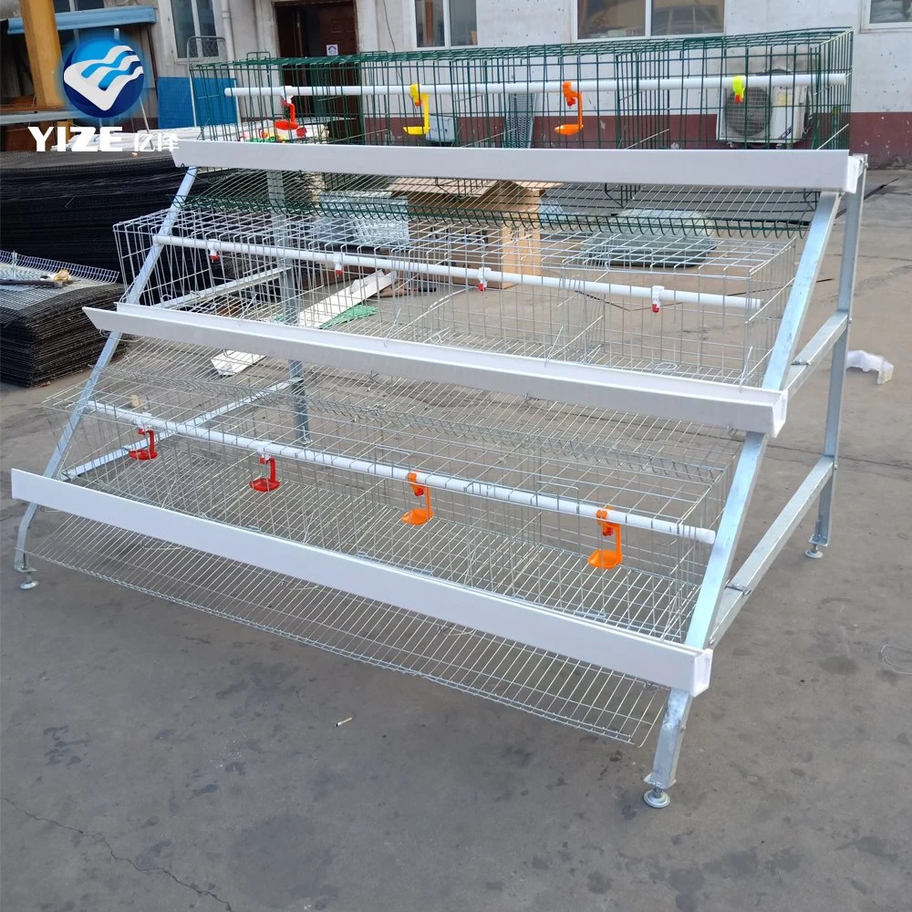 China Supply Good Price Chicken Egg Poultry Farm Equipment