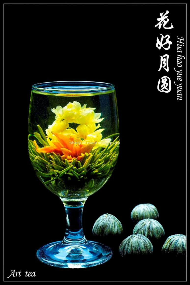 Blooming Té verde (flor de té, té de arte) el estándar de EU