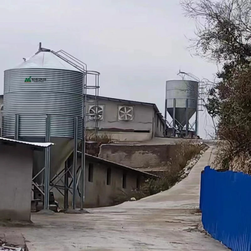 High quality/High cost performance  Feed Silo for Poultry Farm House Owners