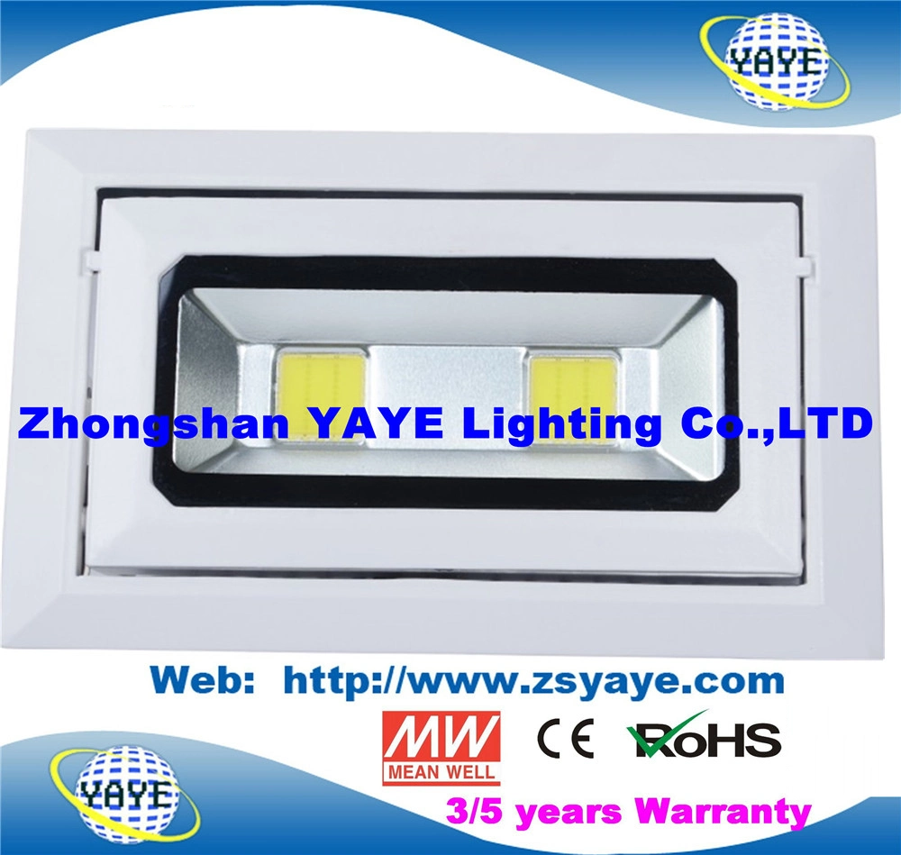 Yaye 18 أفضل جهاز عرض LED طراز COB بقدرة 30 واط معتمد من CE/RoHS Sell / مصباح LED بقوة 30 واط بإضاءة LED /COB بقوة 30 واط بإضاءة LED