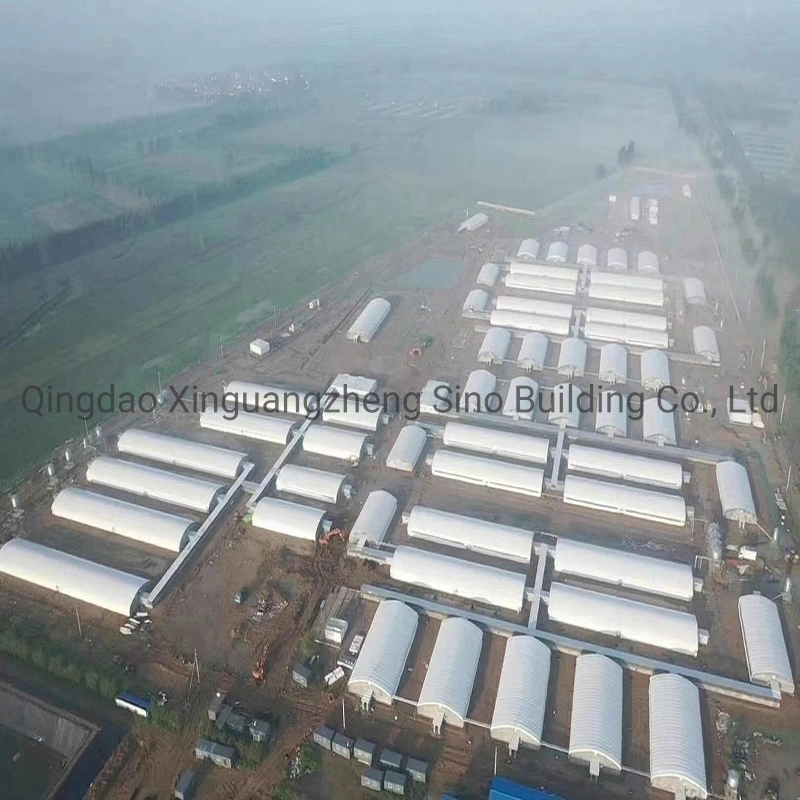 China Construction Fast Installed Light Steel Structure for Poultry Pig Cow Shed