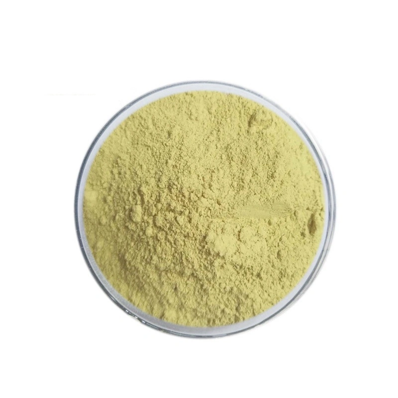 Venta caliente 100% Natural Sophora Japonica HPLC Rutin Extracto de un 95% de Suplemento en polvo