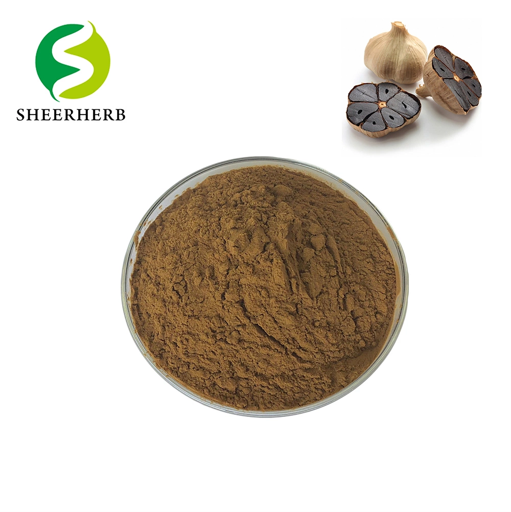 Bulk Garlic Powder Garlic Extract Black Garlic Powder