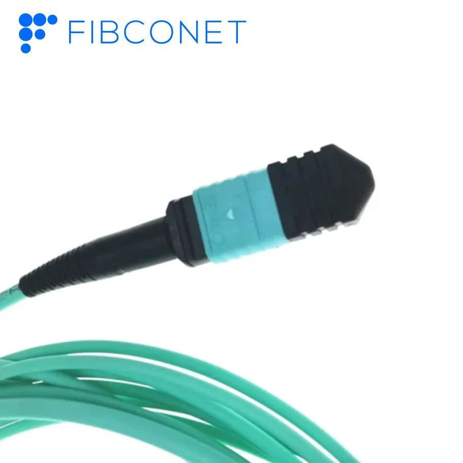 Fournisseur chinois FTTH 50/125 UM mm OM4 24 noyaux fibre Cordon de raccordement optique/optique MPO