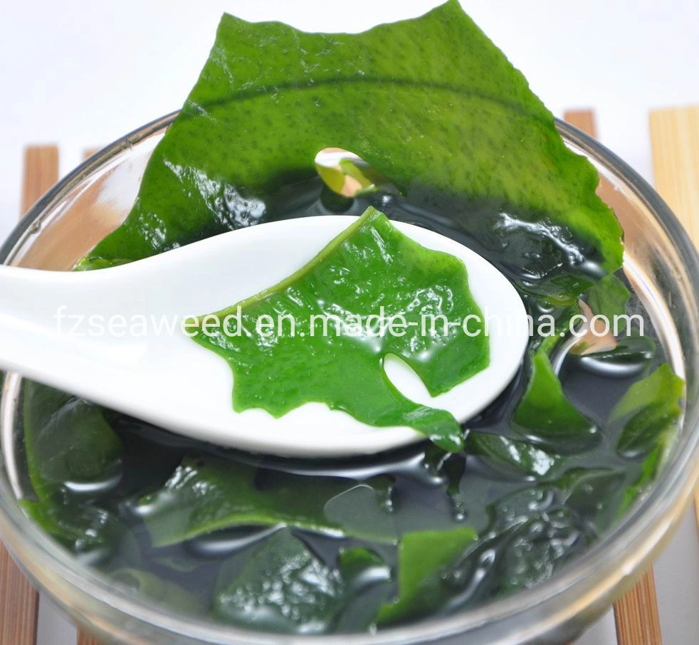 Venta caliente Corea Food Grade de algas marinas algas wakame ensalada