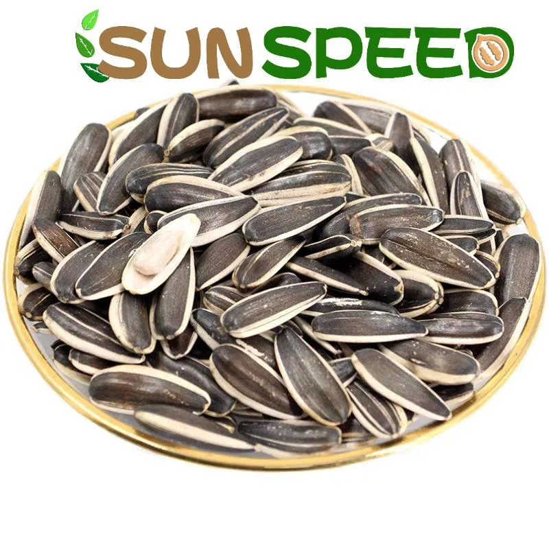 T6/T5 Inner Monglia Big Size 180-190/170-180 Sunflower Seeds Inshell