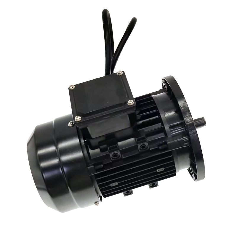 2kw Electric Brushlessmotor DC Gear Motor Fan Cooling 36V Brushless DC Motor BLDC Motor Tricycle Battery Car Professional Motor High Performance