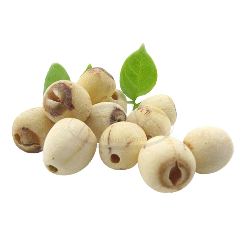 100% natural de sementes de lótus secas produto saudável Lotusseeds de alta qualidade