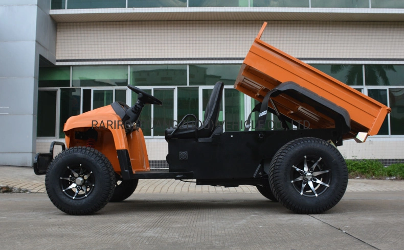 High Quality ATV Sport Vehicle with off-Road Wheel Utility Electric Car