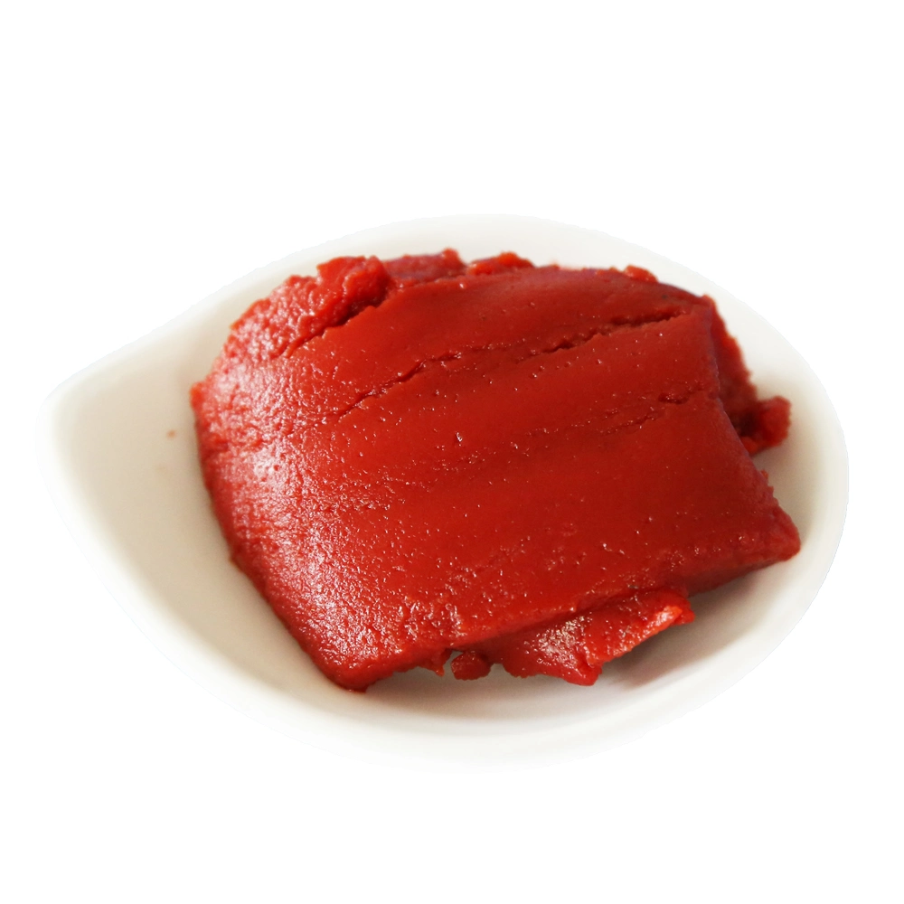 Red Color and Drum Packaging Tomato Paste Factory / Tomato Paste in Drum/Double Concentrated Tomato Paste